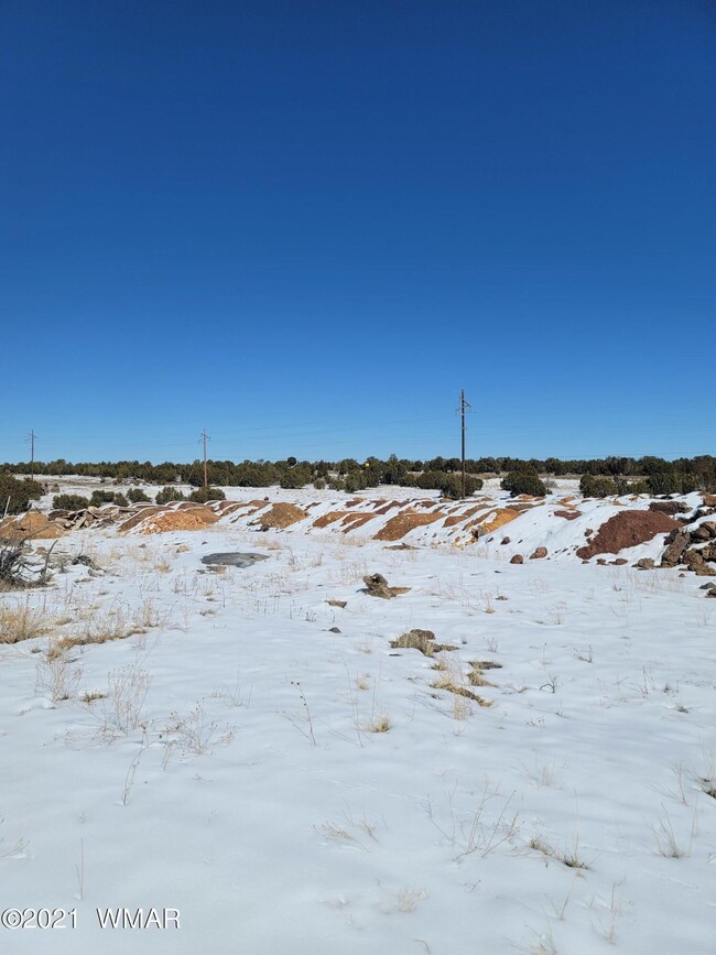 2350 N 16th St, Show Low, AZ 85901 - photo 3