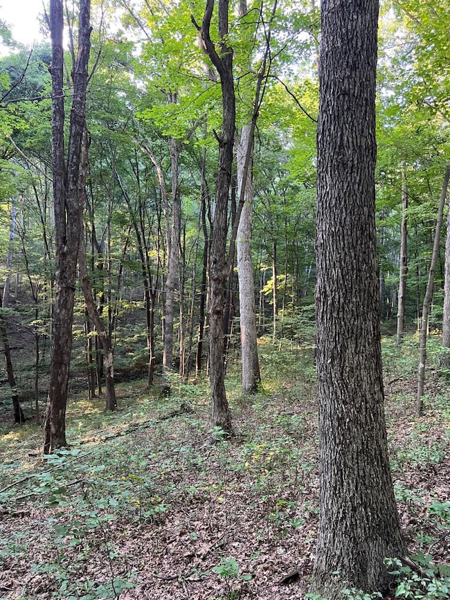 0 Tabernacle Rd, Massieville, OH 45601 - photo 7