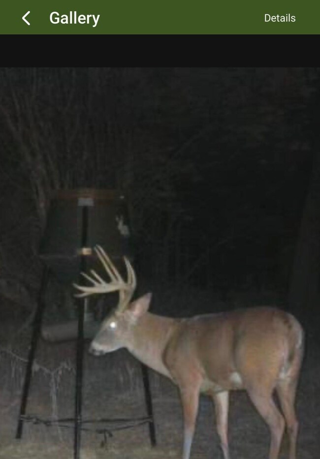 1249 4th St, Dwight, KS 66849 - photo 5