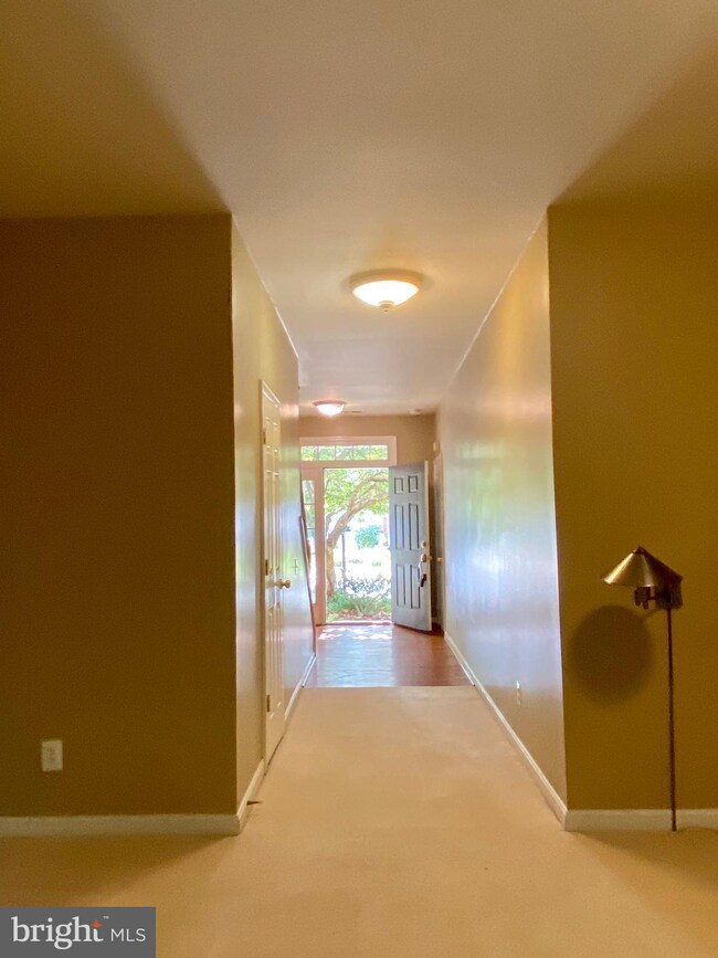 5102 Observation Way, Alexandria, VA 22312 - photo 4