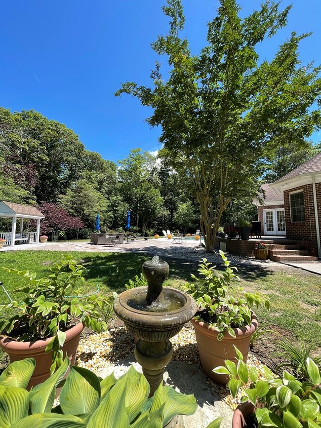 garden view