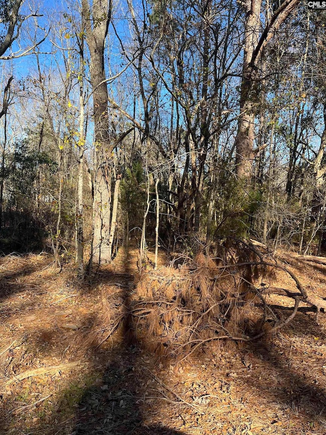 TBD Swansea Rd unit tract a, Swansea, SC 29160 - photo 2