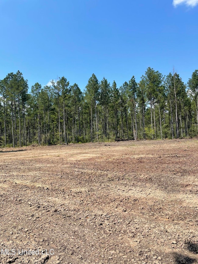 0 Pisgah Rd, Brandon, MS 39047 - photo 4