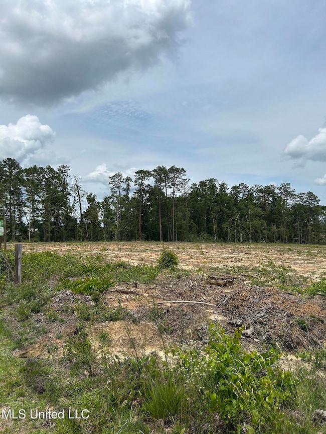 Cleared Land