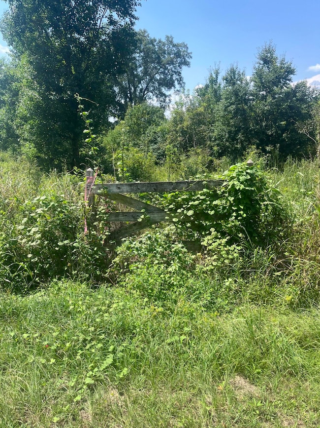 0 George Boutwell Rd, Ovett, MS 39464 - photo 6