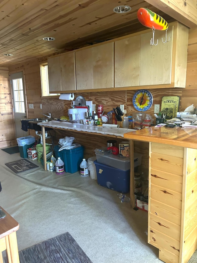 16779 Angle Shoreline, Angle Inlet, MN 56711 - photo 7