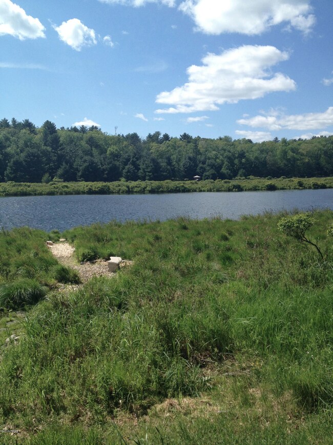 127 Marigold Ln, Milford, PA 18337 - photo 4