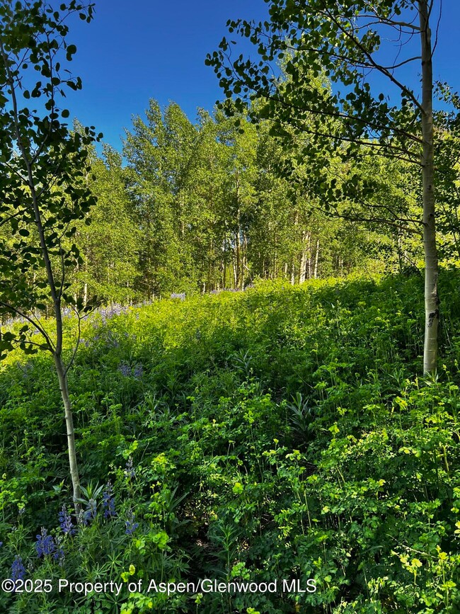 2601 Midnight Mine Rd, Aspen, CO 81611 - photo 2
