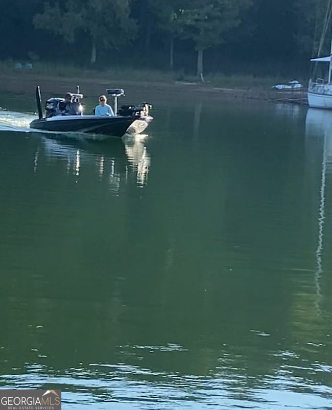 0  LOT 20 Lake Pointe Rd, Hartwell, GA 30643 - photo 4