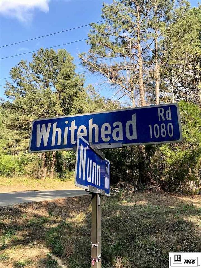 000 Whitehead Rd, Choudrant, LA 71227 - photo 6