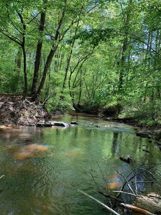 333 Riverine Dr, Pittsboro, NC 27312 - photo 2
