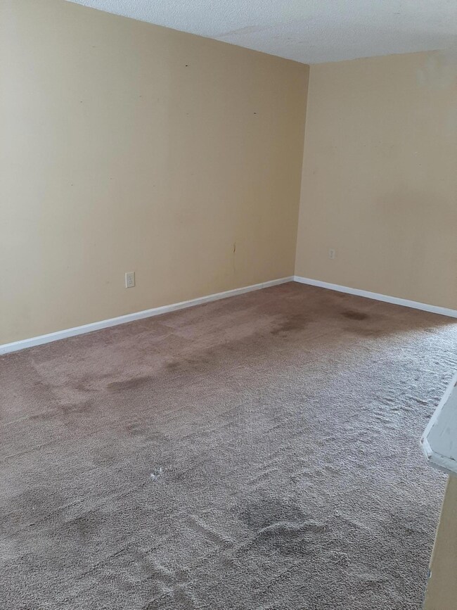 Huge Living Area 1
