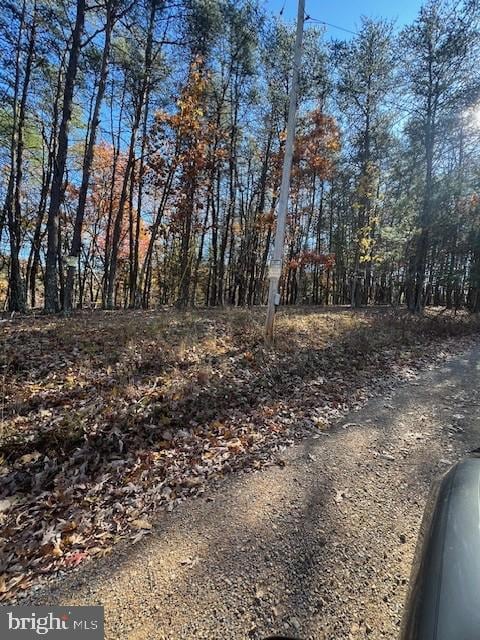 0 Runaway Ct unit WVMO2006972, Berkeley Springs, WV 25411 - photo 7