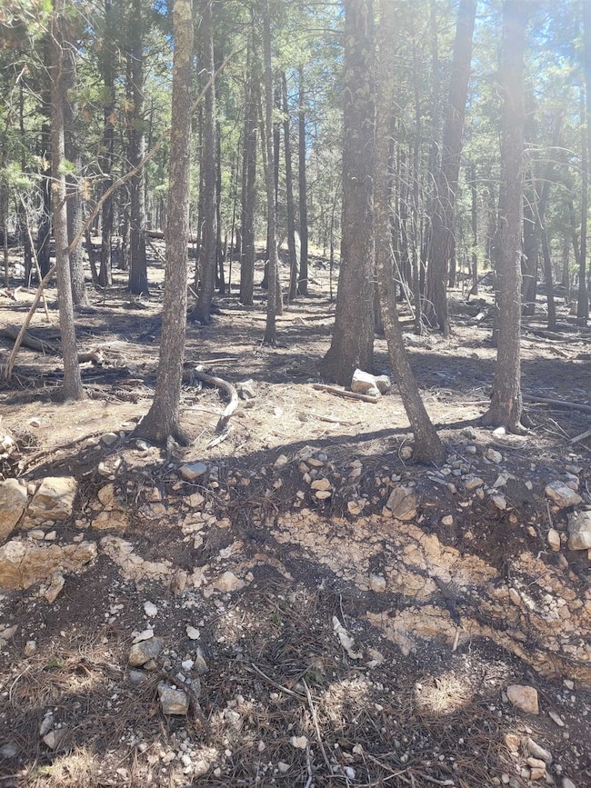 5 Forest View Rd, Cloudcroft, NM 88317 - photo 3