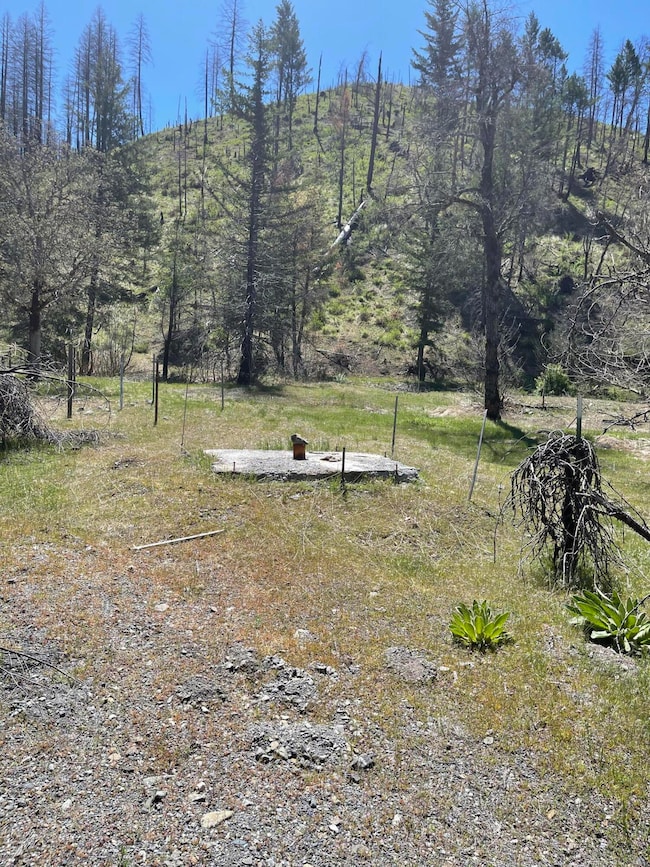 300 Cedar Gap Rd, Ruth Lake, CA 95526 - photo 3