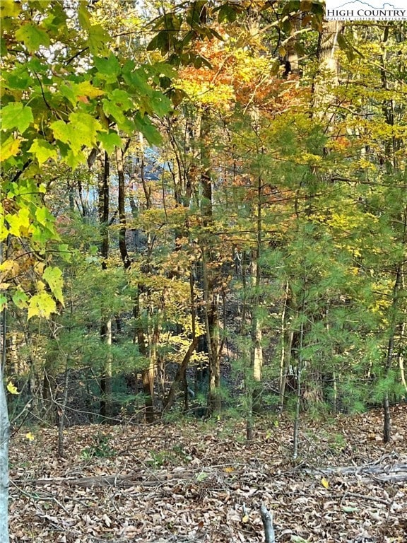 Lot 45 wooded area
