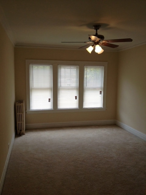 7212 Jackson Blvd unit 2E, Forest Park, IL 60130 - photo 7