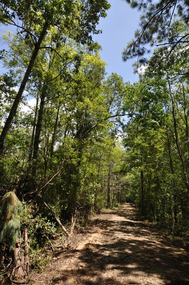 Road into the property