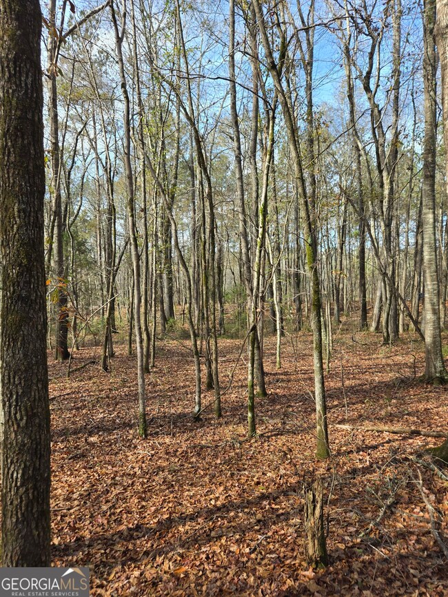 0 Yatesville Rd unit 10650403, Barnesville, GA 30204 - photo 4