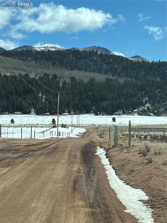 11893 Colorado 67, Divide, CO 80814 - photo 2