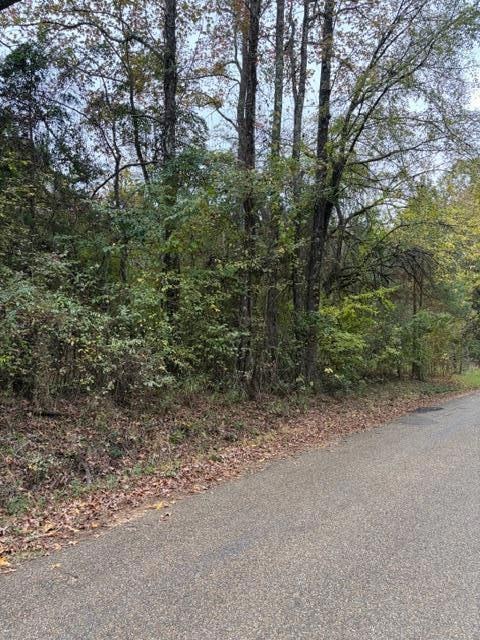 860 Gun Club Rd, Texarkana, TX 75501 - photo 2