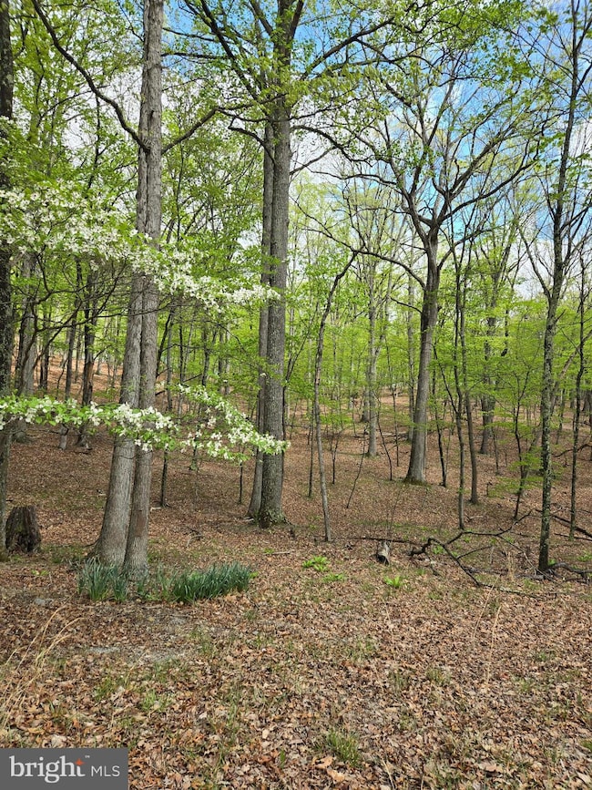 0 Pioneer Trail unit WVMO2005610, Great Cacapon, WV 25422 - photo 6