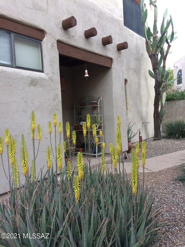 4254 N Rillito Creek Place, Tucson, AZ 85719 - photo 5