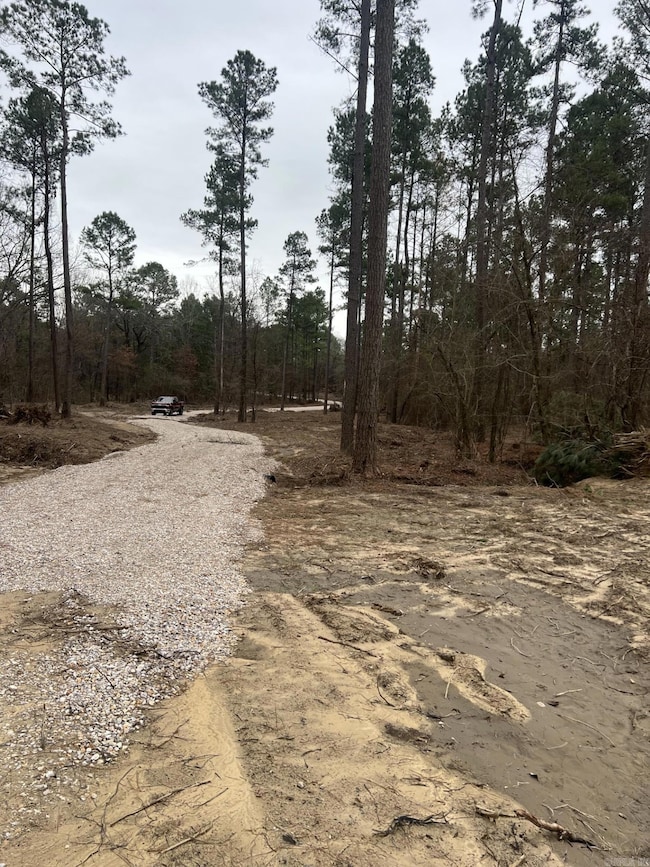 1028 Red Wings Rd, Bismarck, AR 71929 - photo 6