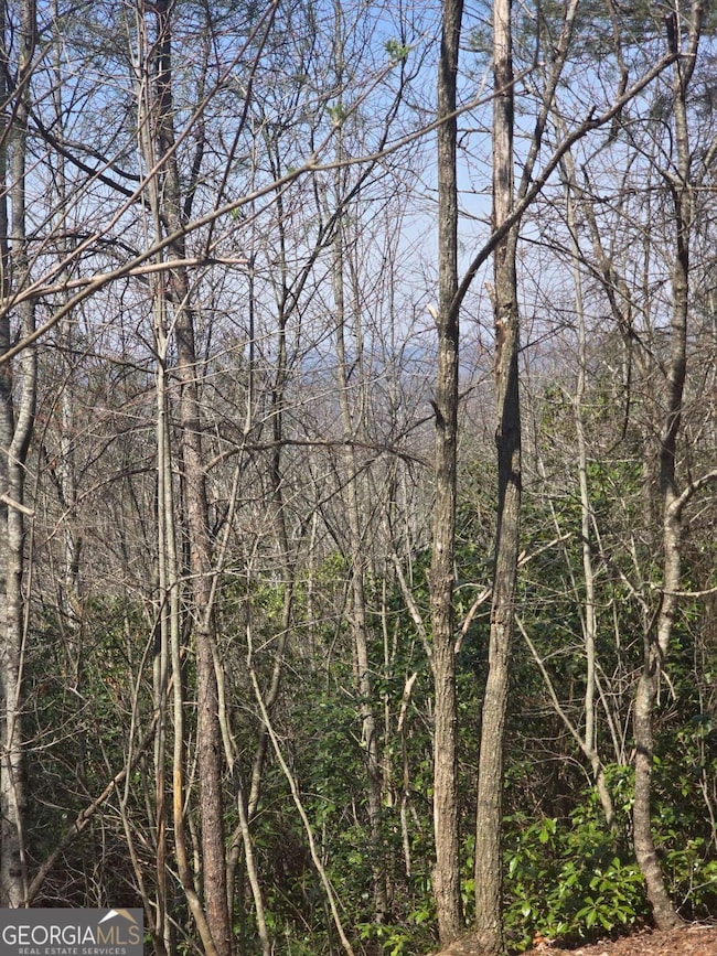 8 & 9 Up the Ridge Rd, Blairsville, GA 30512 - photo 6