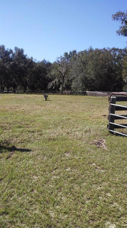 20991 SE 80th St, Morriston, FL 32668 - photo 7