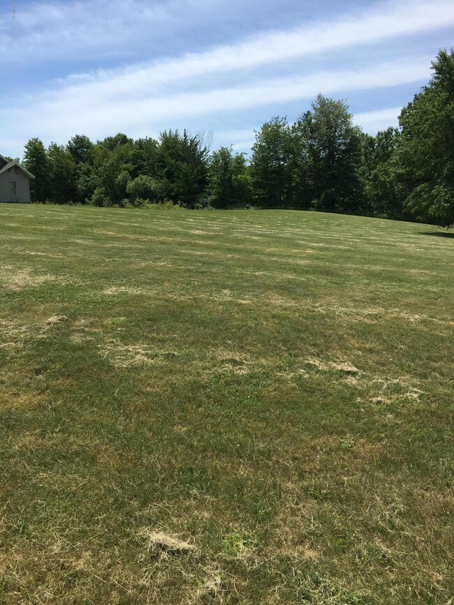 12280 Belding Rd pic 2