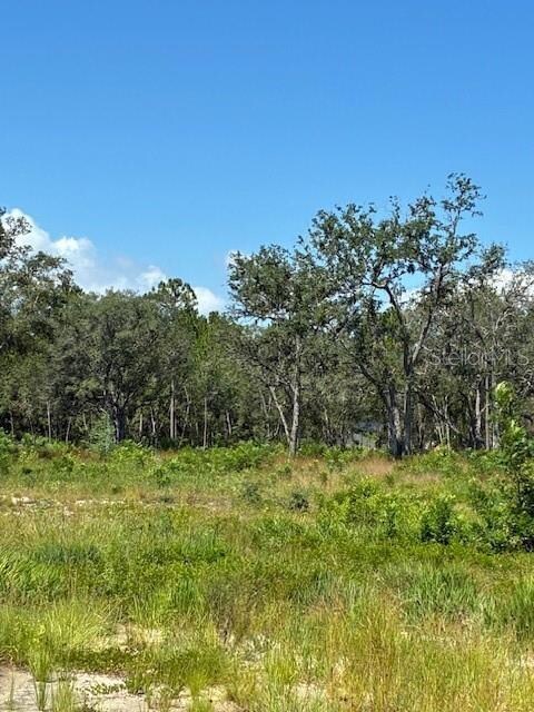 0 Lake Yale Rd unit MFRG5100985, Umatilla, FL 32784 - photo 4