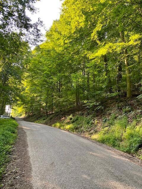 1256 Taos Ln, Sugar Grove, OH 43155 - photo 4