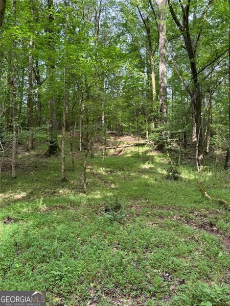 0 Saffold Rd unit 10560494, Buckhead, GA 30625 - photo 4