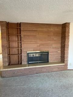 Double sided fireplace in the living room
