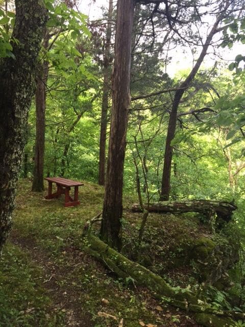 Overlook