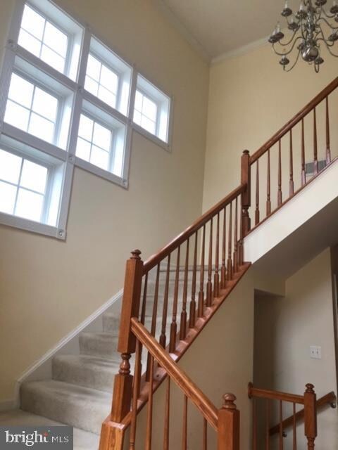 13771 Lowe St, Chantilly, VA 20151 - photo 4