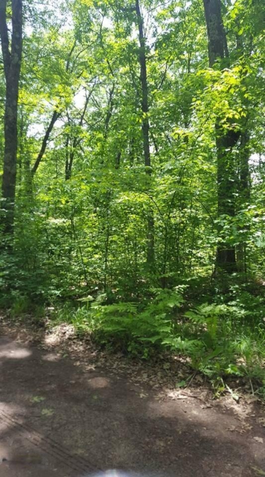 0 7th Ave, Merrill Township, MI 49309 - photo 4