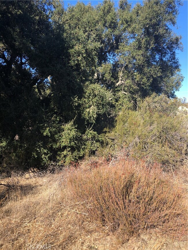 3 Red Mountain Rd, Hemet, CA 92544 - photo 6