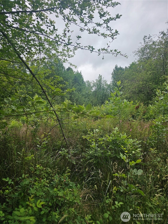 565 Oyler Rd, Ethel, WA 98542 - photo 3