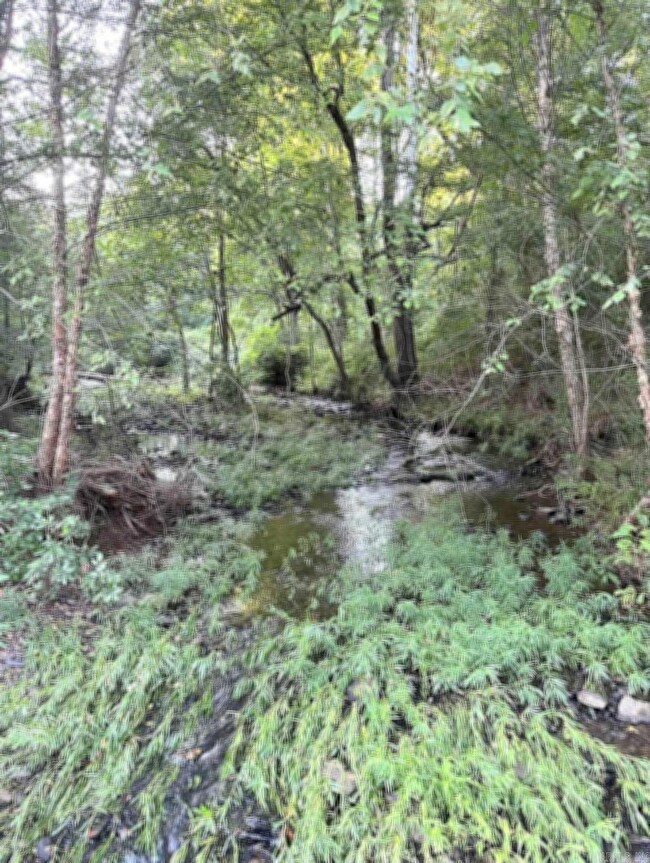 1790 Miller Point Rd S, Quitman, AR 72131 - photo 7