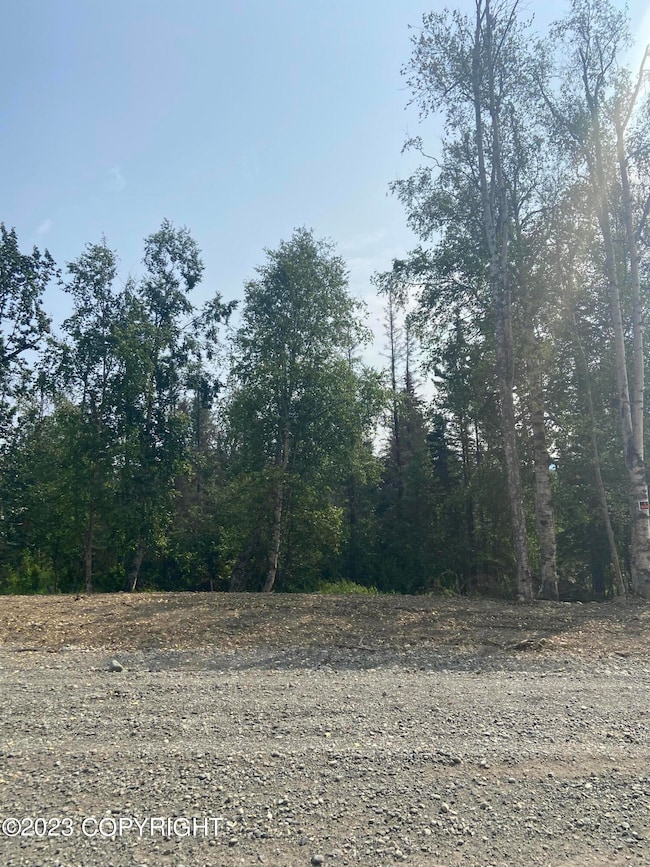 2650 W Longview Cir, Wasilla, AK 99654 - photo 2