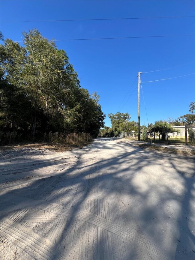 TBD SE 179th Place, Summerfield, FL 34491 - photo 4