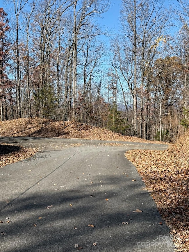 V/L Lot 72 & 170 Black Lark Dr, Marion, NC 28752 - photo 4