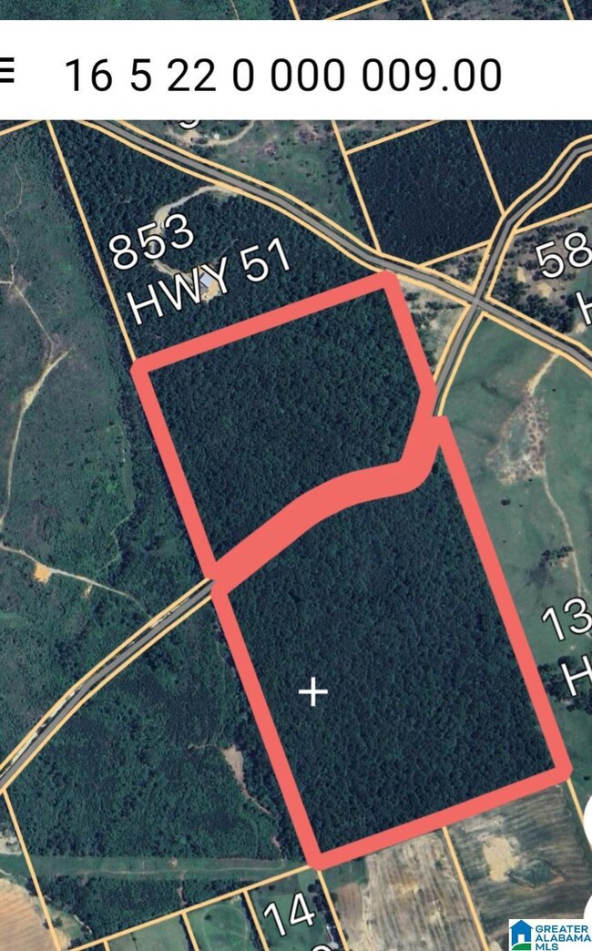 0 Jackson Farm Rd unit 21420738, Wilsonville, AL 35186 - photo 4