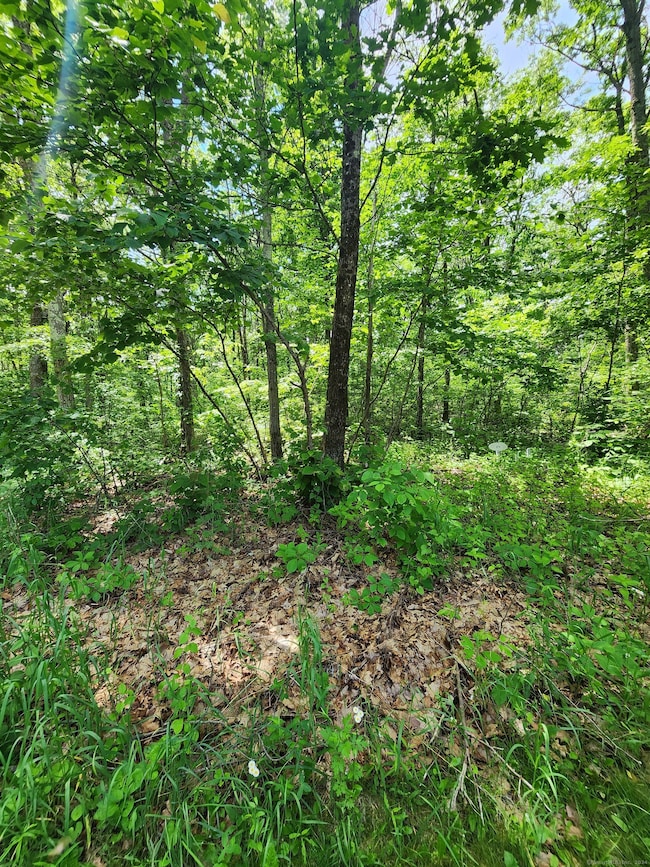 11 Old Paddock Ln, Kent, CT 06757 - photo 5