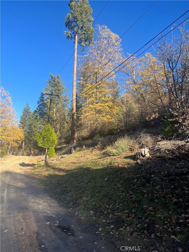 29834 Juniper Dr, Cedar Glen, CA 92321 - photo 3