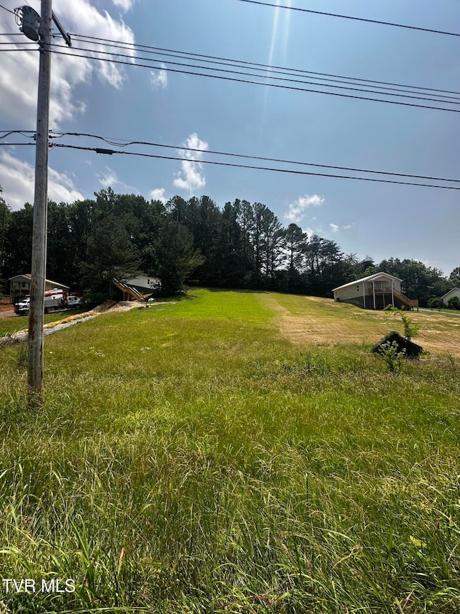 191 Hall Rd, Jonesborough, TN 37659 - photo 4