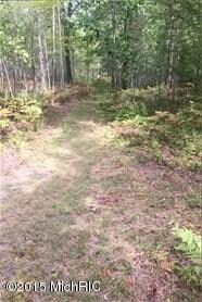 0 Tonkey Rd unit 15049868, Standish, MI 48658 - photo 4