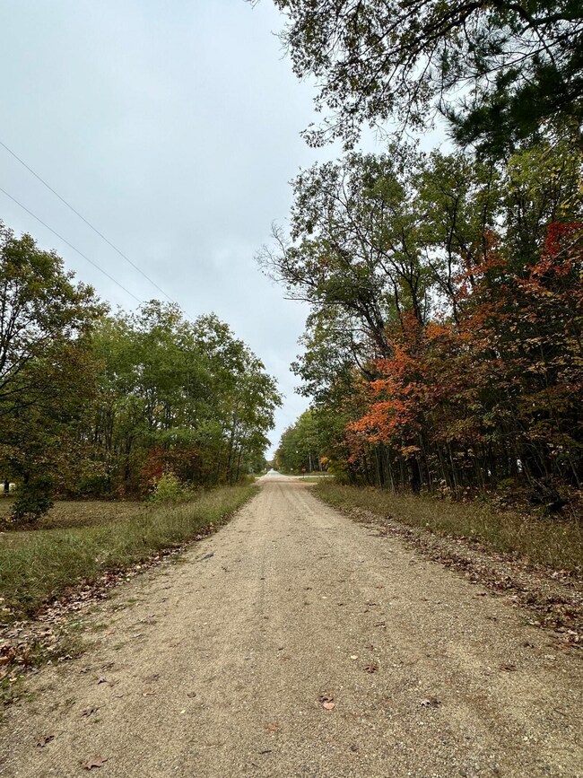 2471 W 12 Mile Rd, Bitely, MI 49309 - photo 6